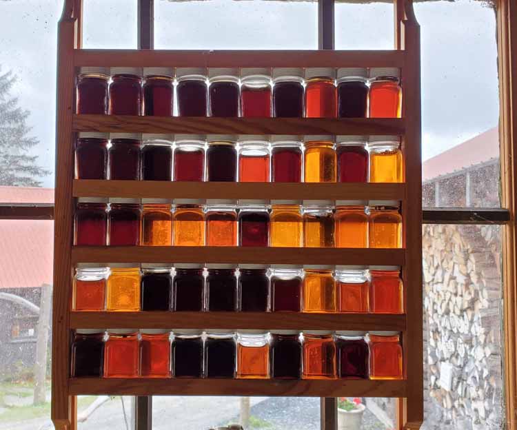 maple samples